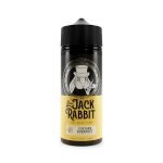 jack rabbit