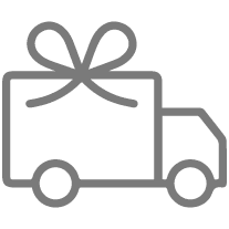 delivery icon